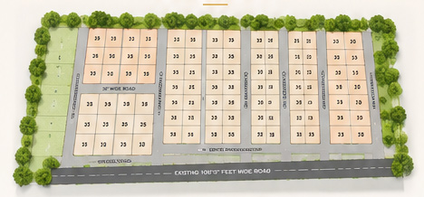 Project Layout